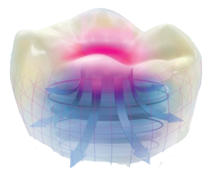 Enamic_shock